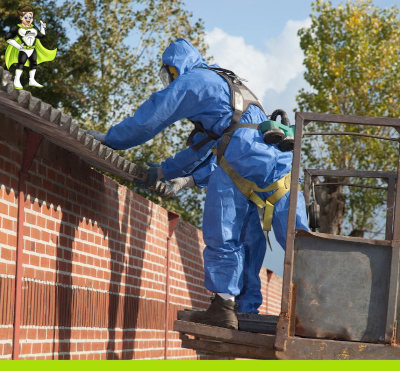 Why Choose Alpha Asbestos